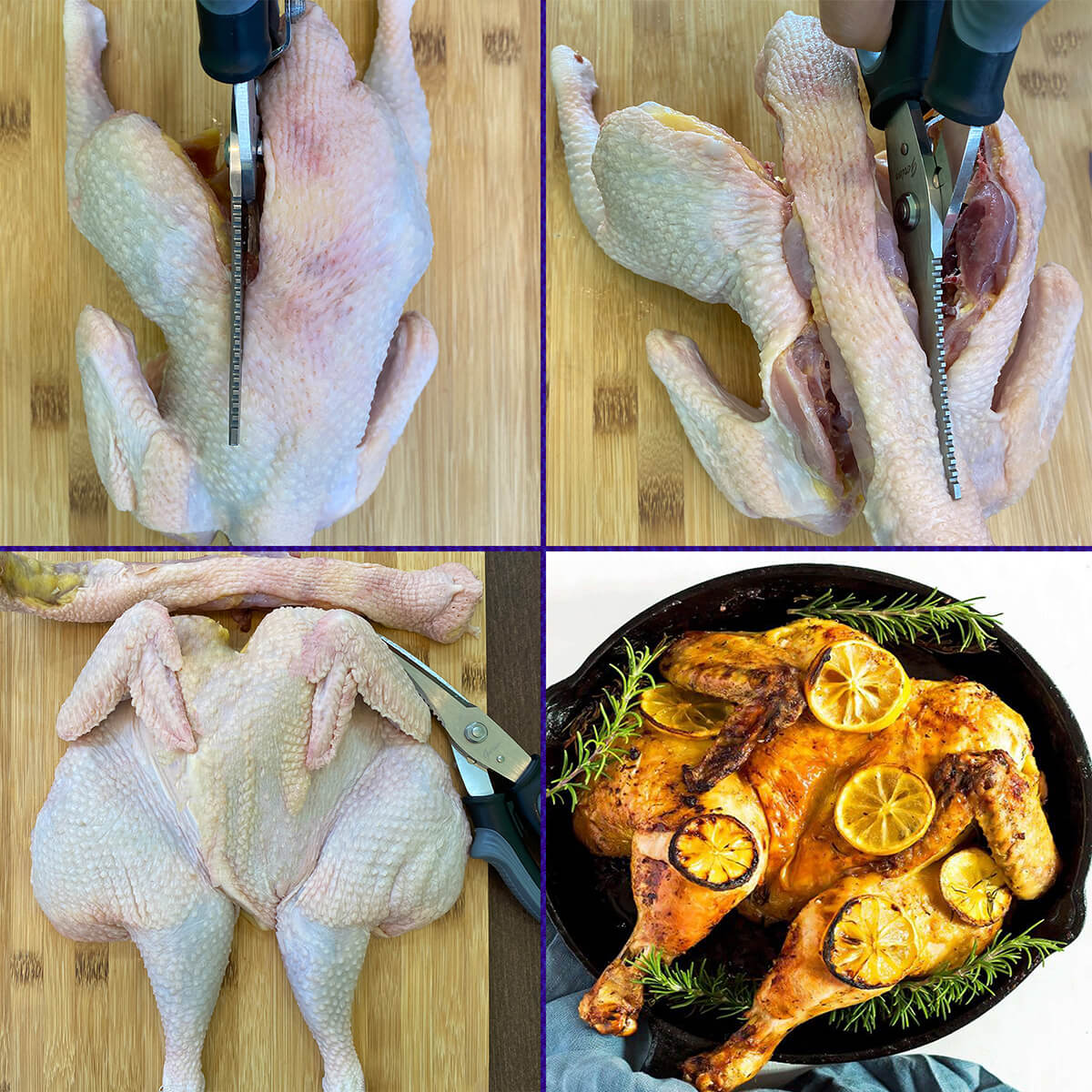 Come Apart Poultry Shears - Great Tool for Spatchcocking Chicken, Turkey, Game Birds