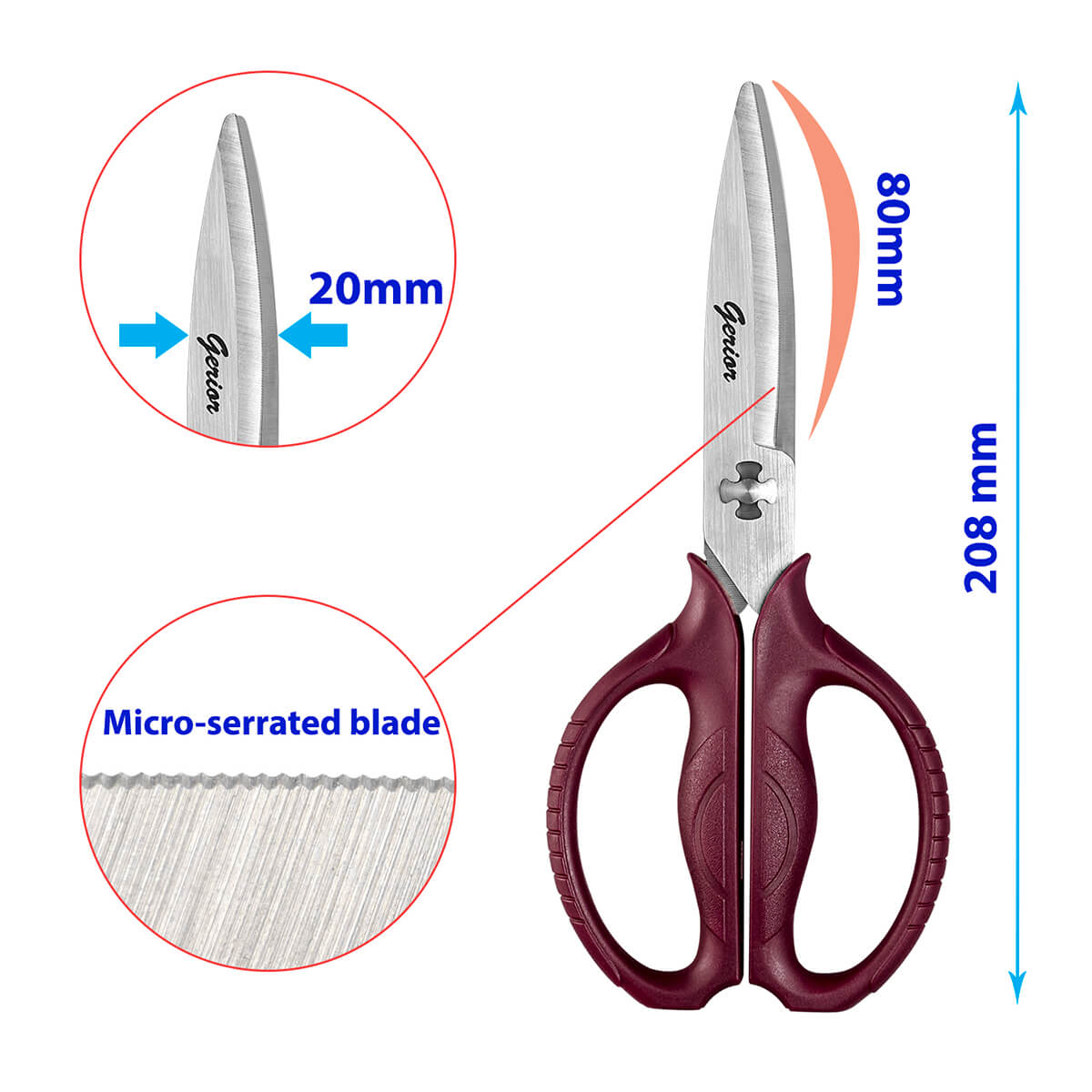 Come Apart Food Scissors - Kitchen Scissors Shears